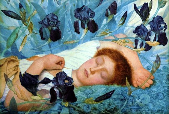 FIESTAS DEL SOL … Equinoccio de Primavera 20 de marzo del 2016 Observa la llegada de la Primavera La agonía del invierno, muriendo irremisiblemente, deja la nieve en la sombra de los árbole…