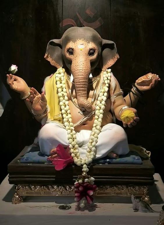 बप्पा 🌼