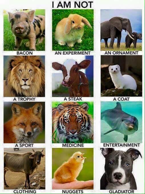 They are living beings that deserve to live!