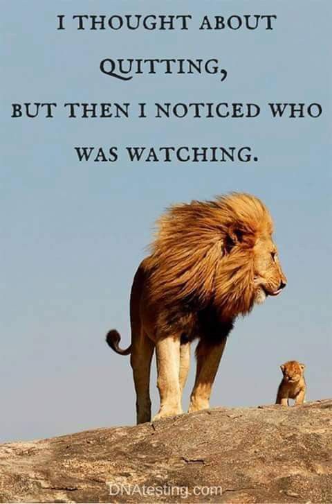 lions-with-good-morning