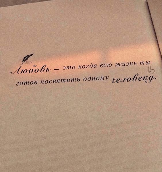✨