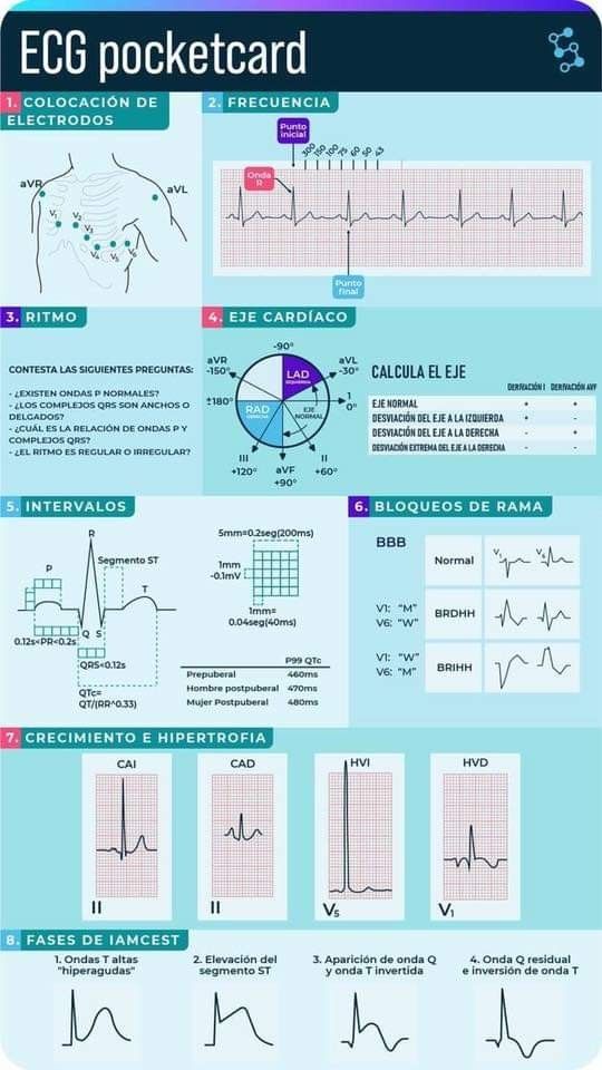 Pin By Luis Enrique On Ekg Medicine Student Study Notes Medical
