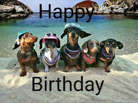 Happy Birthday Quotes Happy Birthday Quotes Happiness Best Friend Quotes Meaningful Quotes In Happy Birthday Friend Birthday Wishes Funny Happy Birthday Pictures Happy Birthday Quotes Happy Birthday Quotes Happiness Best Friend Quotes Meaningful Quotes In Happy Birthday Friend Birthday Wishes Funny Happy Birthday Pictures