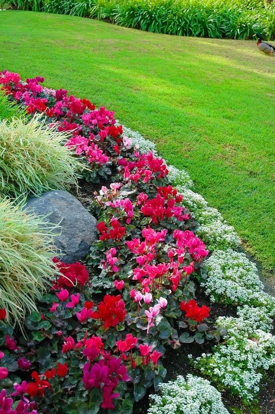 Flower Bed Border Ideas Beautiful Gardens Front Yard Landscaping Borders Front Yard Landscaping Flower Bed Borders, What Size Garden Border