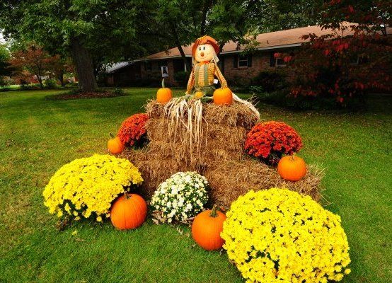 fall yard decor thanksgivingfall festival pinterest fall yard decor yards and fall decor - Fall Outdoor Decorations fall yard decor thanksgivingfall festival pinterest fall yard decor yards and fall decor - Fall Outdoor Decorations