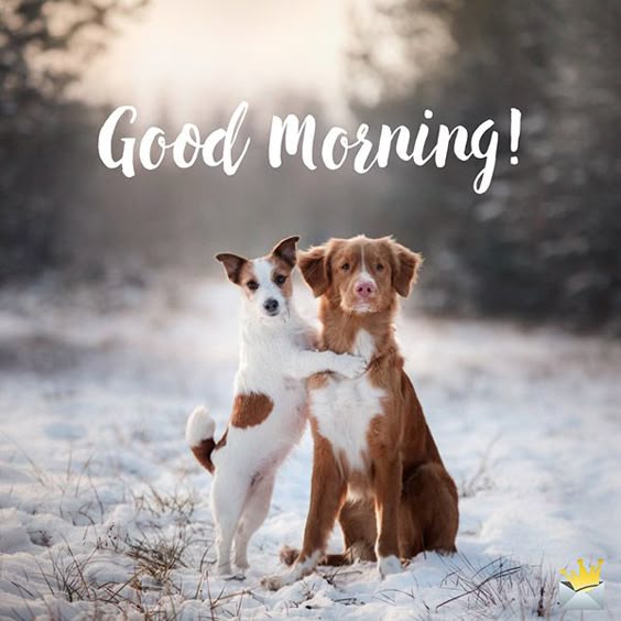 The Best Good Morning Images | Inspire a Better Day