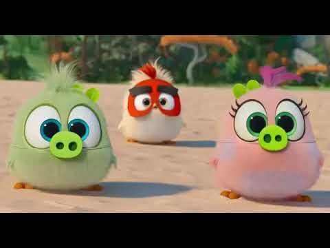 Angry Birds 2 La Pelicula Completa En Español Latino Youtube Angry Birds Imagenes De Angry Birds Películas Completas