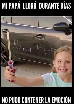 Las Mejores Imagenes Chistosas Imagenes Graciosas Fotos Graciosas Imagenes Para Whatsapp Chistes Cor Chistes Graciosos Chistes Divertidos Chistes Estúpidos