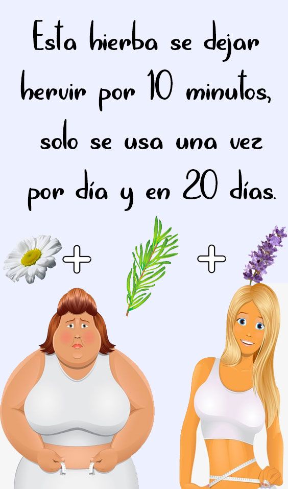Hierbas para adelgazar barriga