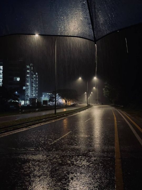 Tumblr
