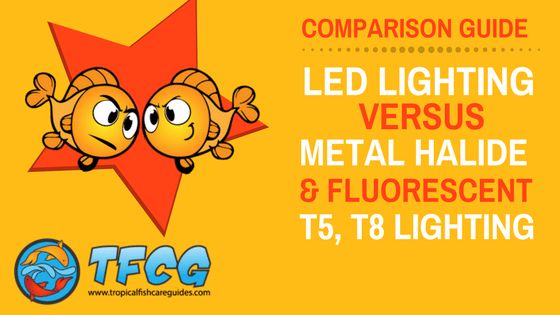10 best aquarium lighting