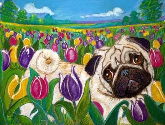 Tulip The Pug In Tulips Pugs Painting Art