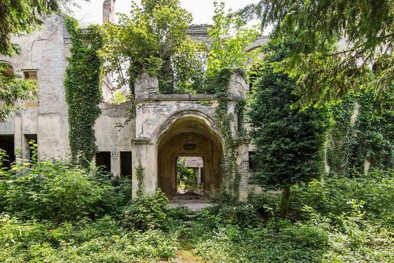 I Travel The World To Capture Amazing Pictures Of Nature Taking Back Abandoned Places