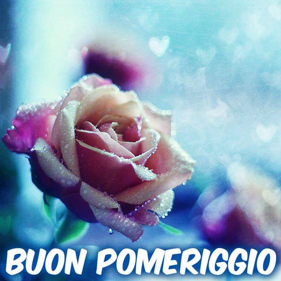 BUONGIORNO FORUM!!!!  Saluti lampo - Pagina 2 30bdcbd0e04b09b98b38565a608dd7ba