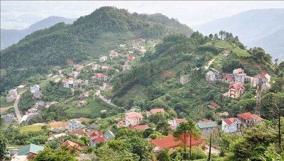 Tam Đảo huyền ảo trong sương sớm
