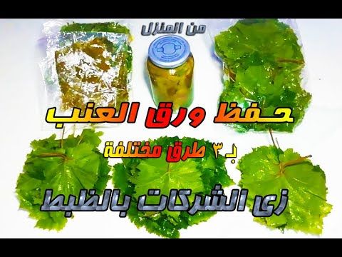 حفظ وتخزين ورق العنب ب 3 طرق زى الشركات و بطريقة صحية ريفيو طبخ طريقة تخزين ورق العنب ب 3 طرق حفظ ورق العنب بالمحلول زى الشركات في Snacks Snack Recipes Food