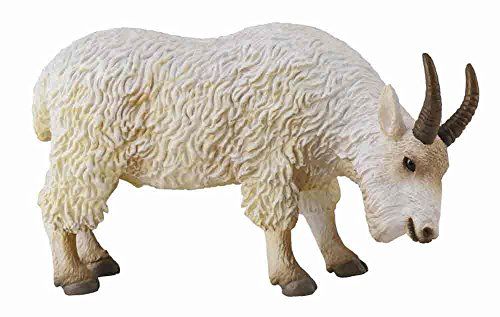 Collecta La ferme: CHAMOIS Billy 8.5x3x5.5cm Collecta https://www.amazon.fr/dp/B008721E6M/ref=cm_sw_r_pi_dp_TPtzxb845MGFX