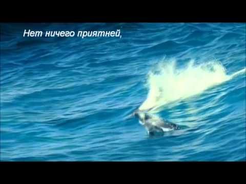 С днем рождения, Дима! - YouTube