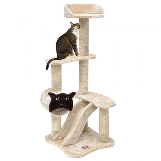 Pin On Cat Towers
