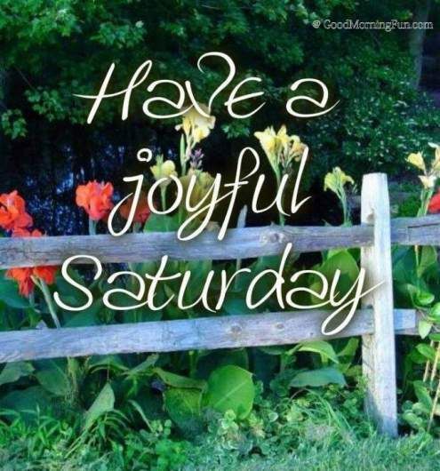 Funny Saturday Quotes and Sayings for Facebook - Good Morning Fun