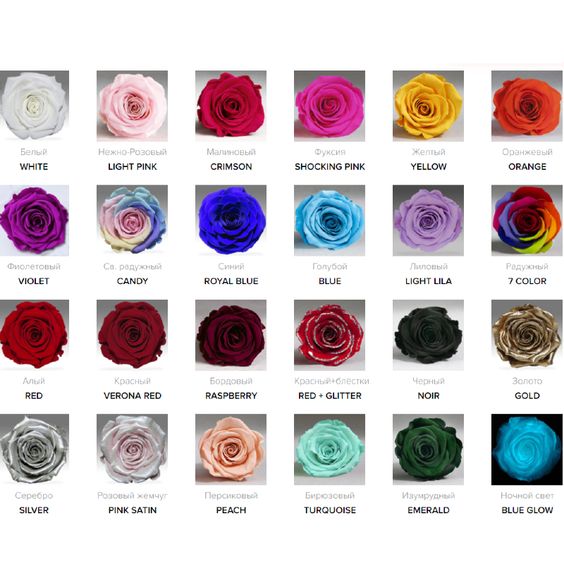 Red Eternal Rose in Flask Lerosh - Elite 43 cm Rosebud diameter 10-11 cm The size of the composition is 22*22*43 cm Stand color black or white on request Red is the most versatile rose color. This is a classic that will suit people of any gender and age. Of course, first of all it is a symbol of love. In nature, red is the color of abundance, of celebration. A red rose in a flask is also given as a sign of respect, admiration, friendship. ROSE IN A FLASK from