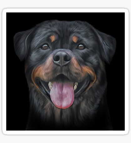 Funny Rottweiler Stickers for Sale