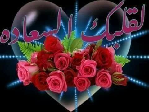 Pin By نهر الجمال On تعليقات وردود فيس بوك Festival Bra Fashion Festival