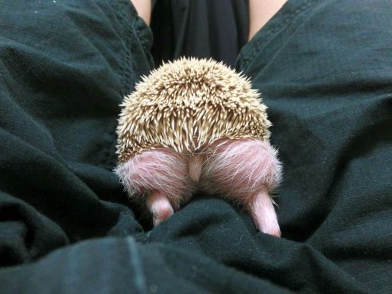 Lol! Love that hiney!