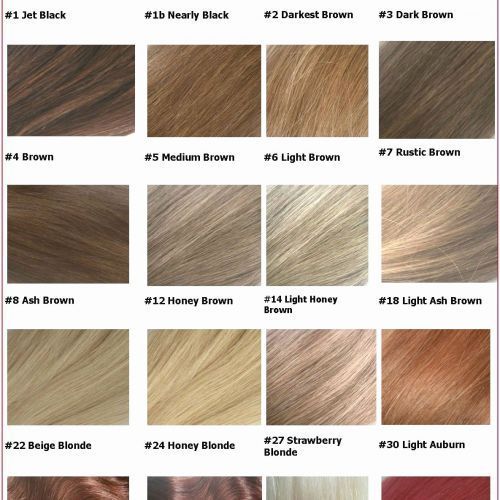 Light Strawberry Blonde Hair Color Chart Hair Color Hair Hacks Hair Makeup Hair Grow In 2021 Hair Color Chart Blonde Hair Color Chart Blonde Hair Color [ 500 x 500 Pixel ]