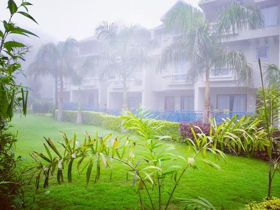 #Mountains #weather #Bliss #Serenity #Hills #Freshair #Greenery #peaceofmind #Foggy \u200b#mist #monsoon #Naturebeauty #Ambiance #Hillsview #beautifulambiance\u200b#Aravallimountains #Peace #Picturesque #India #incredibleindia #rajasthan \u200b#abu #mountabu #mountabudiaries #mtabu #aburoad #mountabutrip\u200b#mountabublog #mountabuhillstation #hummingbirdresorts