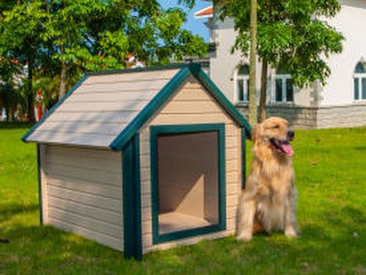 Dog House Ac Is One Of The Best Appliances That Can Keep Your Pets