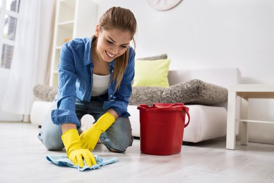House Cleaning House Cleaning