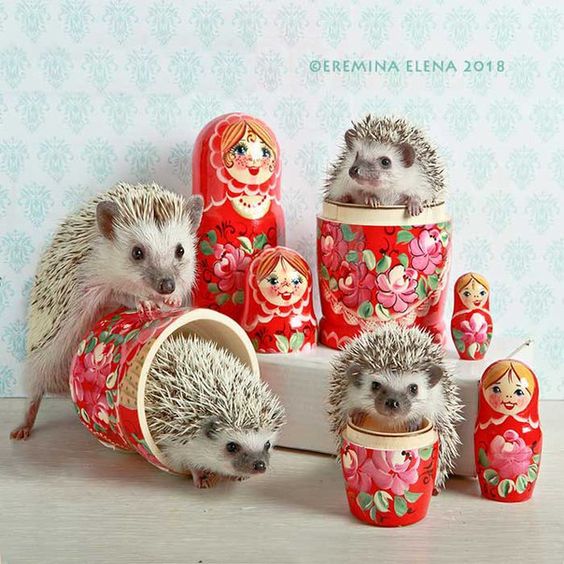 ЕЖУВАНЧИКИ. АВТОРСКИЕ КАЛЕНДАРИ