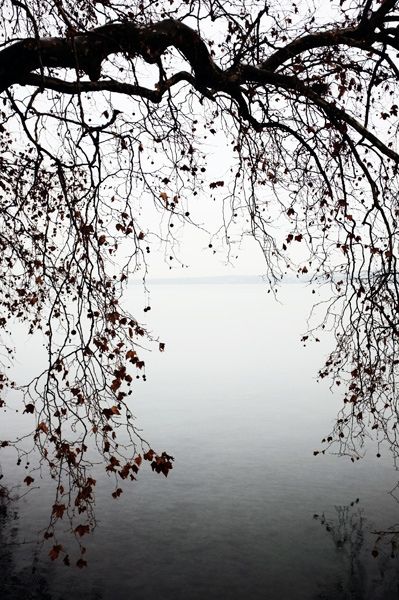 Geneva