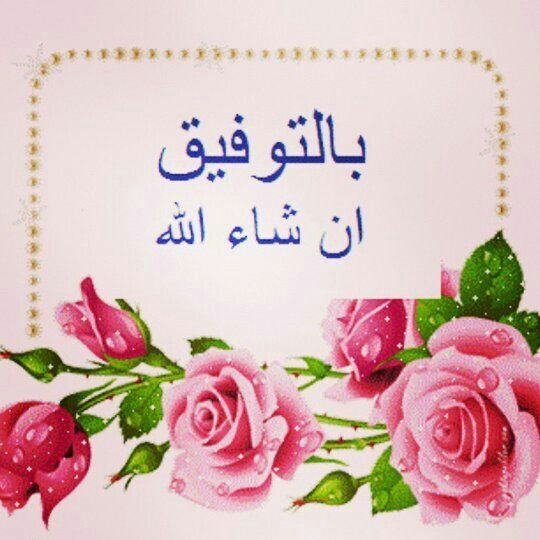 Pin By رحمة عبد الهادي On أجيب دعوة الداعي Assalamualaikum Image Real Love Morning Quotes