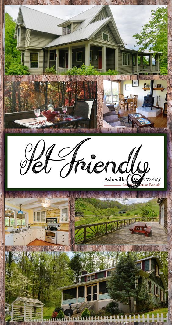 Why Look For Pet Friendly Hotels In Asheville When These Fabulous Why Look For Pet Friendly Hotels In Asheville When These Fabulous Vacation Als Are Available All About Pinterest