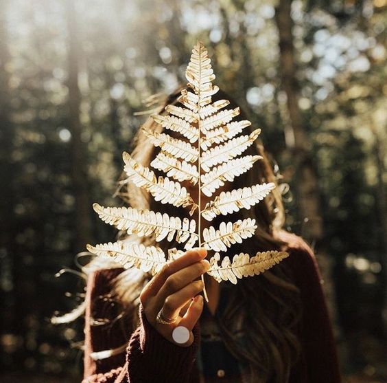 pictures-quotes-nature-photos
