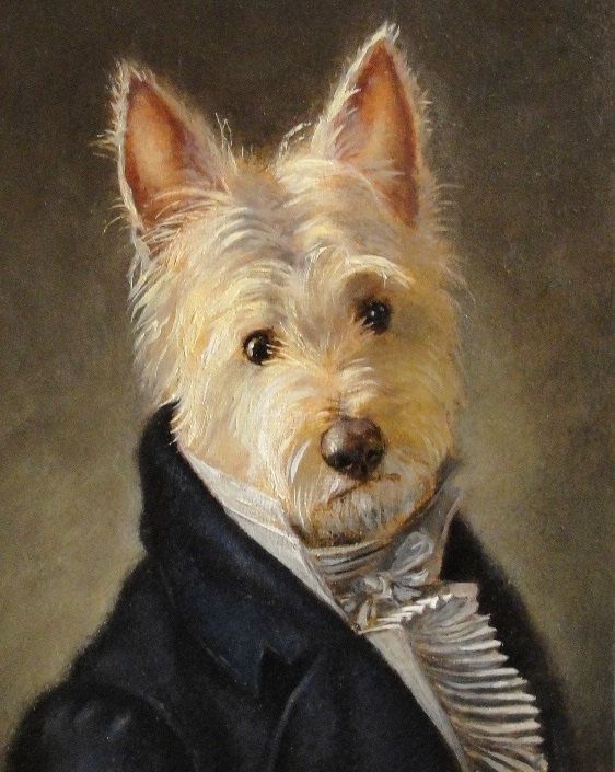 ridiculous, but I couldn't help post it. It's a Westie as Mr. Darcy. I love them both, but together?