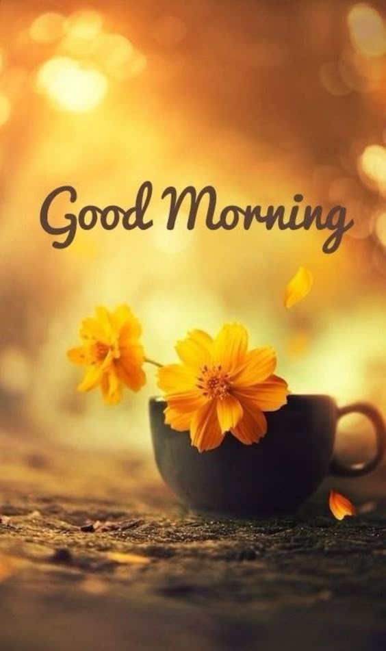 good-morning