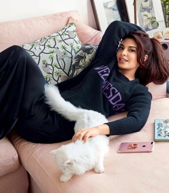 jacqueline fernandez