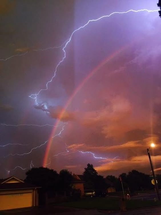 21 WTF Pics During and After Natural Disasters