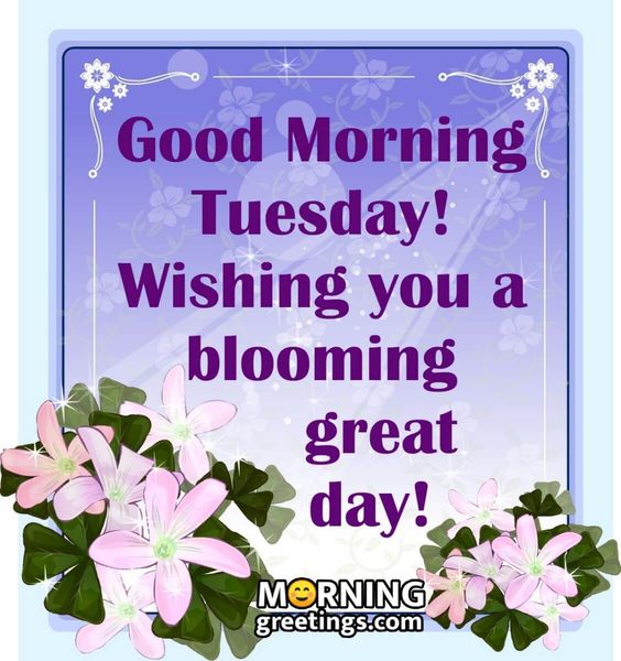 50 Good Morning Happy Tuesday Images - Morning Greetings – Morning Quotes And Wishes Images