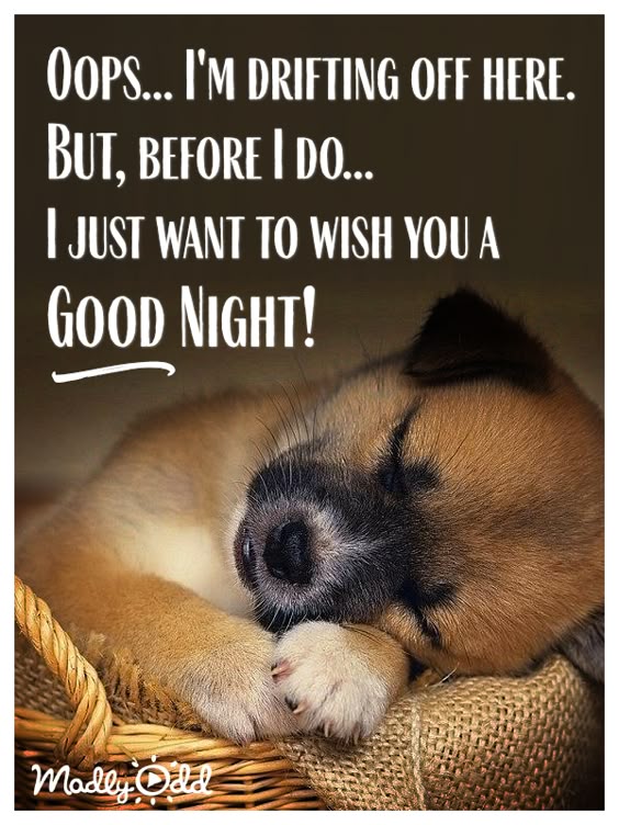 Good Night