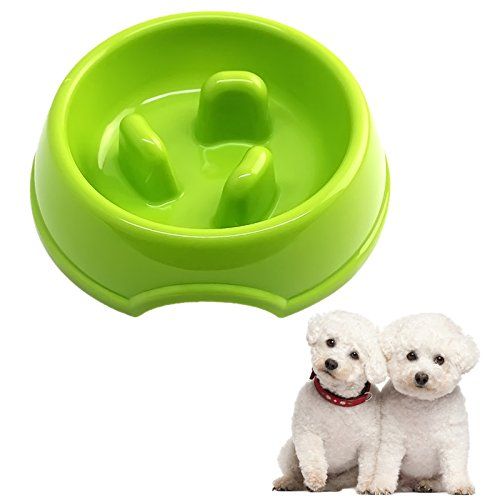 Kangkang 3 Columns Style Antigulping Dog Bowl Anti Choke Plastic
