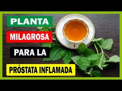 dulce video de próstata
