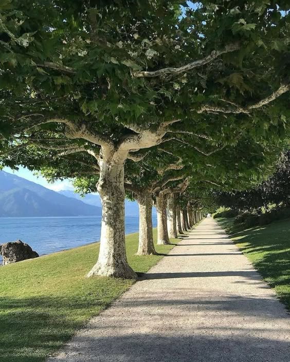 Villa Melzi Garden