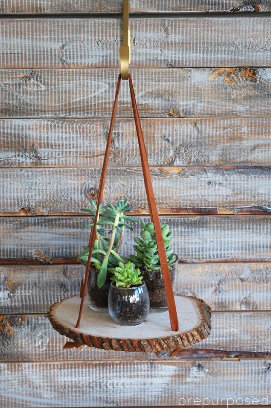 Wood Cookie Plant Hanger