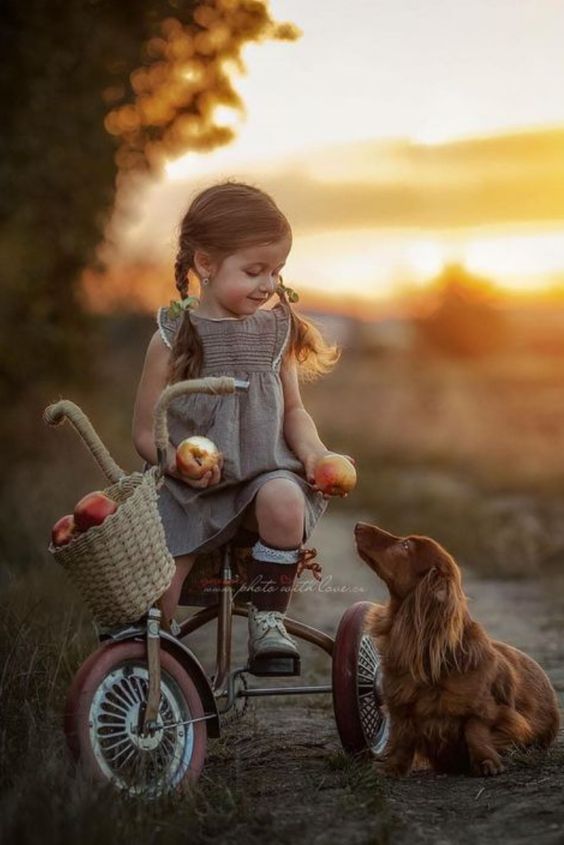 Little girl on tricycle offering an apple to her dog. #cutekids #littlegirls #kidsandanimals #vintagetricycle #doglovers #dachshund #longhaireddachshund