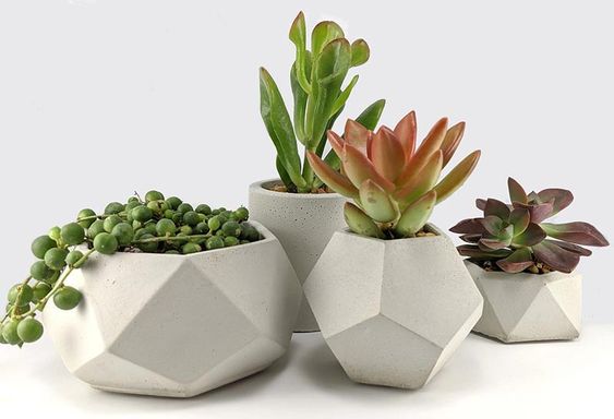 Modern Geometric Concrete Planters Ideal For Succulents And Cacti
