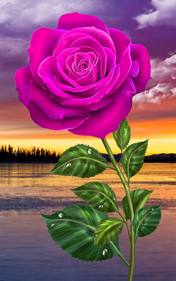 7nA76nnUK3nlU2I8pBFqdM2Uik9LcfXxXo2NlCy_Lp3Jj1lE1r9keTSq4Cug5S-h7w=h1080 (675×1080)
